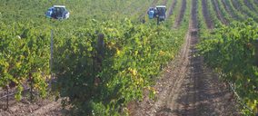 Pernod Ricard negocia la venta de una de sus bodegas a un grupo portugués