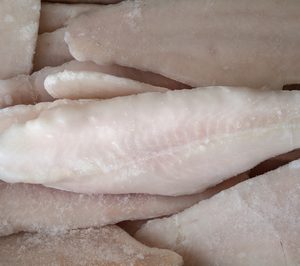 Una comercializadora de congelados presenta concurso