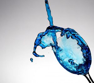 Las diez tendencias en vino, según Vinissimus