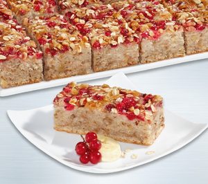 Erlenbacher vende 1 M de Planchas Placer