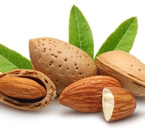 Nuevos proveedores en el grupo de detección de almendra amarga