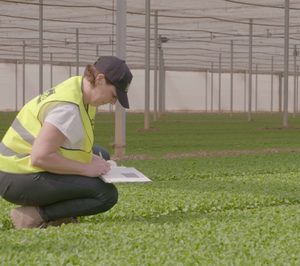 Florette inicia el año con 40 nuevos proyectos de innovación