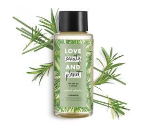 Unilever, innovación y adquisiciones en un nuevo año al alza en No Alimentación