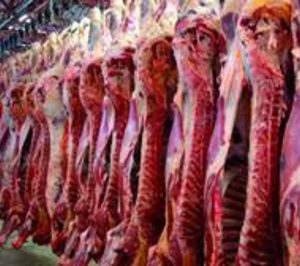 Grup Cañigueral se adjudica los activos de Terfrisa