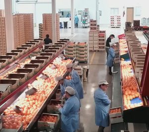 Anecoop y Fruits de Ponent refuerzan su estrategia comercial