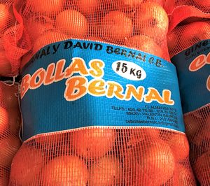 Cebollas Bernal, satisfecha con las ventas de 2017 a pesar de la calidad del producto