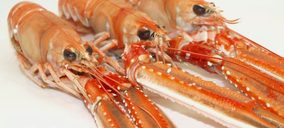 Dos sociedades del grupo Moray Fish presentan concurso