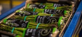 Tany Nature presenta el primer espárrago verde comestible al 100% en fresco