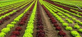 La UE y EEUU generan cerca del 90% del consumo ecológico mundial