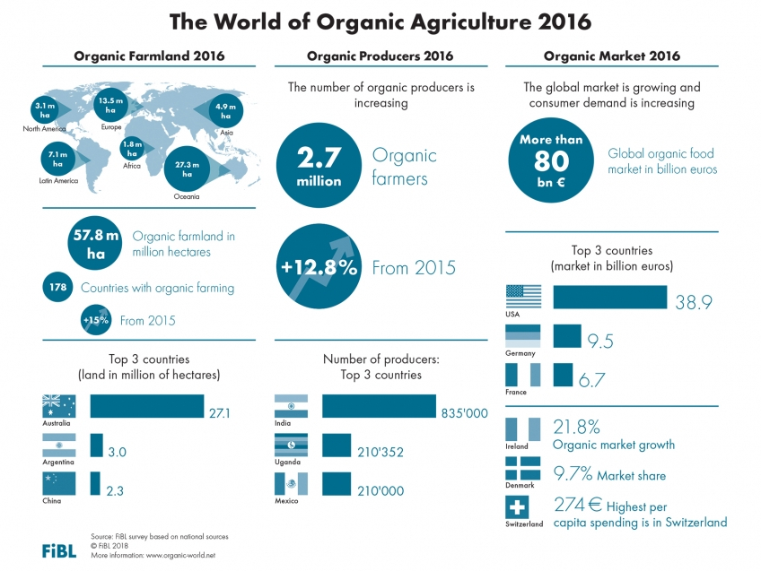 Consumo y agricultura ecológica en 2016 
