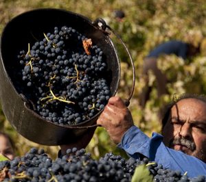 Bodega Pirineos equilibra su patrimonio e invierte en I+D+i