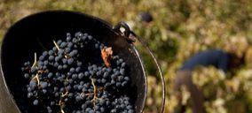 Bodega Pirineos equilibra su patrimonio e invierte en I+D+i