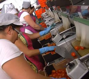 La hortofrutícola Mercomotril acaba en liquidación