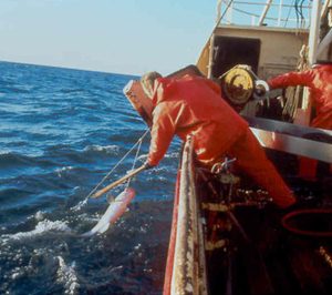 Copesco&Sefrisa desarrolla su sello de garantía de pesca sostenible