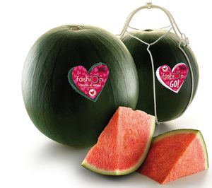 Grupo AGF Fashion maneja buenas previsiones tras el buen resultado de 2017