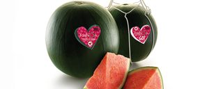 Grupo AGF Fashion maneja buenas previsiones tras el buen resultado de 2017