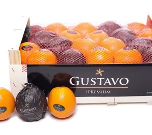 Cítricos Gustavo Ferrada cayó en ventas, pero mejoró su beneficio