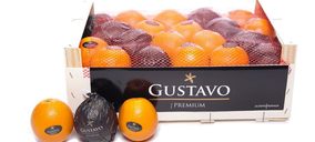 Cítricos Gustavo Ferrada cayó en ventas, pero mejoró su beneficio