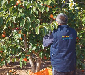 Exquisite Fruits, en plena expansión internacional, dobló sus ventas en 2017