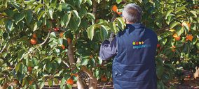 Exquisite Fruits, en plena expansión internacional, dobló sus ventas en 2017