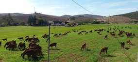 Dcoop se alía con la francesa Agrial en un proyecto para invertir 12 M