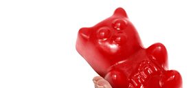 Fini presenta su nueva línea Osos XXL