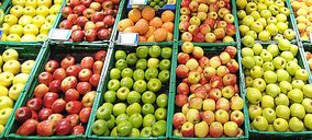 Supermercados Lupa y Gadisa, cuerpo a cuerpo en Salamanca