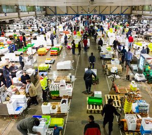 Mercabarna incrementa beneficio, que revertirá en nuevas inversiones