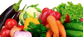 El sector de vegetales congelados presenta sus mejores datos en diez años