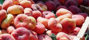 Los productores de fruta dulce son los más beneficiados por la bajada del IRPF
