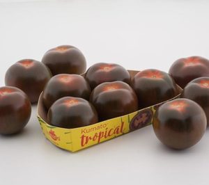 Syngenta presentará nuevas variedades de tomate