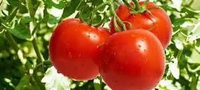 Parque Natural se integra en Alhóndiga La Unión