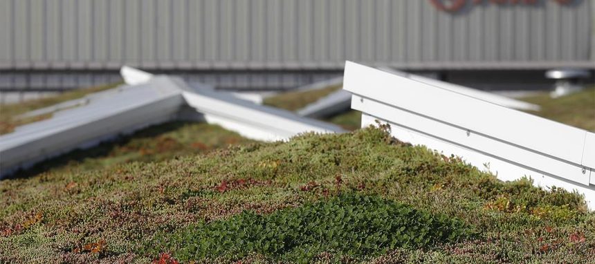 Knauf Insulation instala la cubierta verde más grande del País Vasco