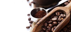 Olam International y Guzmán Global se alían para incrementar su presencia en España