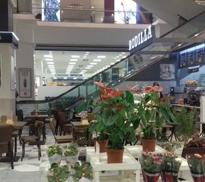 Rodilla espera abrir una docena de franquicias en 2018