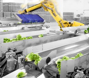 El Dulze sigue innovando para mantener su crecimiento a doble dígito