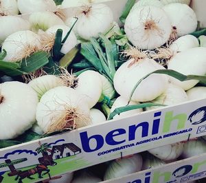 Benihort incorpora la cebolla tierna a su catálogo