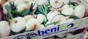 Benihort incorpora la cebolla tierna a su catálogo