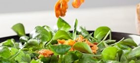 ‘DiqueSí’ y el BCC desarrollarán juntos productos de IV y V gama