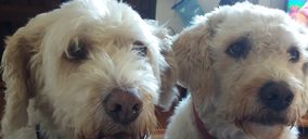 El sector petfood despierta el interés de Amazon