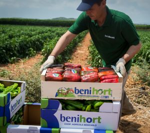 Benihort se inicia en la producción hortofrutícola ecológica