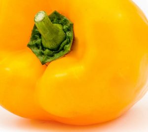 SAAR continúa consolidando su proyecto a golpe de resultados