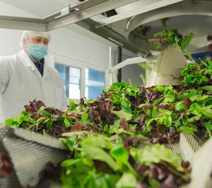 Primaflor se renueva gracias a los fondos operativos europeos