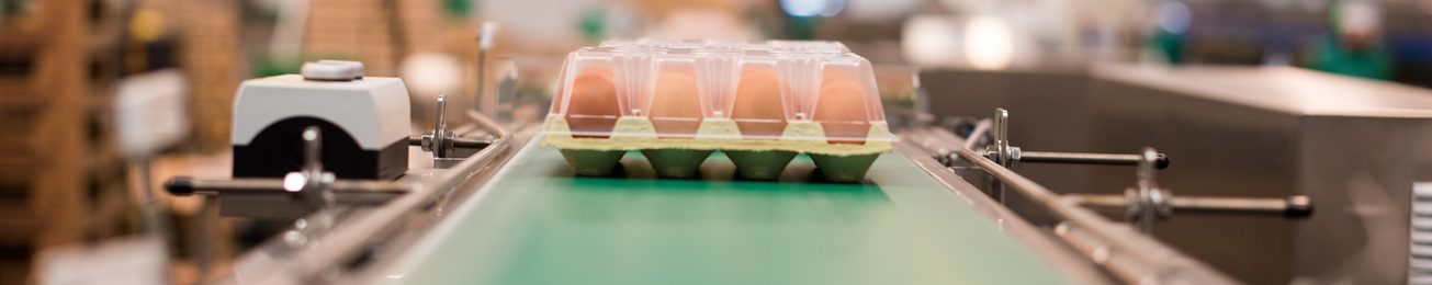 Informe 2018 del sector de huevos