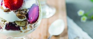 UNA VISIÓN GLOBAL DEL MERCADO DE YOGURES