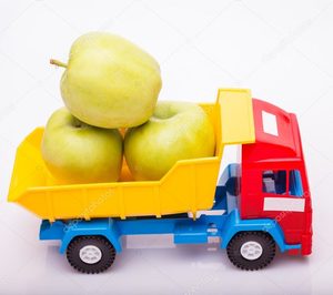 Transgesol supera sus previsiones