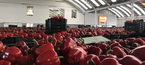 La Unión crece un 24% mientras desarrolla nuevos proyectos