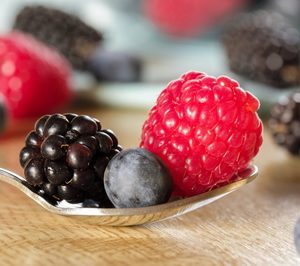 Exquisite Fruits incluye frutos rojos a su cartera de productos