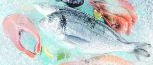 Informe 2018 del sector de pescado y marisco congelado