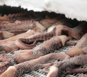 Marfrío recogerá los frutos de su diversificación el próximo año